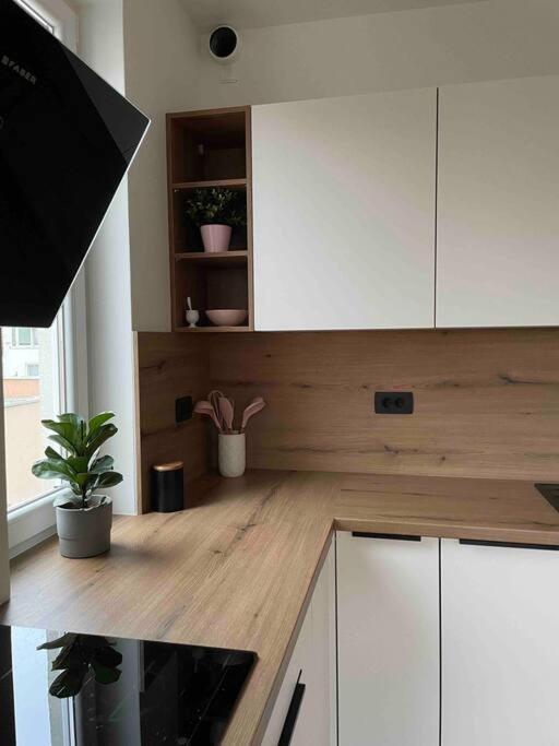 Mely Rose Apartman Ljubljana Kültér fotó
